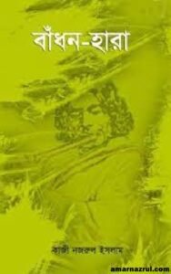 কাজী নজরুলের উপন্যাস । নজরুলের ভাবনা