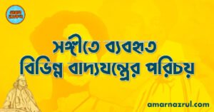 সঙ্গীতে ব্যবহৃত বিভিন্ন বাদ্যযন্ত্রের পরিচয়