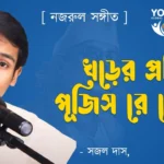 খড়ের প্রতিমা পূজিস রে তোরা