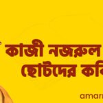 কাজী নজরুল রচিত ছোটদের কবিতা