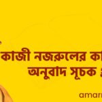 কাজী নজরুলের কাব্যগ্রন্থের অনুবাদ সূচক গ্রন্থ
