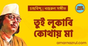 তুই লুকাবি কোথায় মা