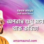 অপরাধ শুধু মনে থাক কবিতা । চক্রবাক কাব্যগ্রন্থ । কাজী নজরুল ইসলাম 3 অপরাধ শুধু মনে থাক কবিতা । চক্রবাক কাব্যগ্রন্থ । কাজী নজরুল ইসলাম