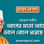 আগের মতো আমের ডালে বোলে ধরেছে বউ | Aager moto amer dale bole dhoreche bou | বুলবুল (২য় খন্ড) | নজরুল সঙ্গীত | কাজী নজরুল ইসলাম