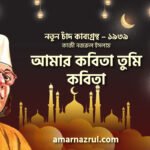 আমার কবিতা তুমি কবিতা । নতুন চাঁদ কাব্যগ্রন্থ । কাজী নজরুল ইসলাম
