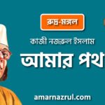 আমার পথ [ রুদ্র-মঙ্গল, প্রবন্ধ ] কাজী নজরুল ইসলাম