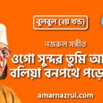 ওগো সুন্দর তুমি আসিবে বলিয়া বনপথে পড়ে ঝরি | Ogo shundor tumi ashbe boliya bonopothe pore jhori | বুলবুল (২য় খন্ড) | নজরুল সঙ্গীত | কাজী নজরুল ইসলাম