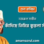 কাঁদিছে তিমির কুন্তলা সাঁজ | Kadiche timir kuntola shaj | গুল বাগিচা | নজরুল সঙ্গীত | কাজী নজরুল ইসলাম