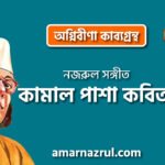 কামাল পাশা কবিতা । অগ্নিবীণা কাব্যগ্রন্থ । কাজী নজরুল ইসলাম