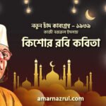 কিশোর রবি কবিতা । নতুন চাঁদ কাব্যগ্রন্থ । কাজী নজরুল ইসলাম