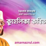 কুহেলিকা কবিতা । চক্রবাক কাব্যগ্রন্থ । কাজী নজরুল ইসলাম