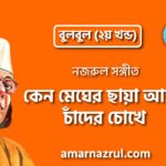 কেন মেঘের ছায়া আজি চাঁদের চোখে | Keno megher chaya aji chader chokhe | বুলবুল (২য় খন্ড) | নজরুল সঙ্গীত | কাজী নজরুল ইসলাম