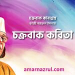 চক্রবাক কবিতা । চক্রবাক কাব্যগ্রন্থ । কাজী নজরুল ইসলাম