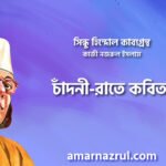 চাঁদনী-রাতে কবিতা । সিন্ধু হিন্দোল কাব্যগ্রন্থ । কাজী নজরুল ইসলাম