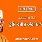 তুমি বর্ষায় ঝরা চম্পা | Tumi borshay jhora chompa | গুল বাগিচা | নজরুল সঙ্গীত | কাজী নজরুল ইসলাম