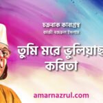 তুমি মরে ভুলিয়াছ কবিতা । চক্রবাক কাব্যগ্রন্থ । কাজী নজরুল ইসলাম 3 তুমি মরে ভুলিয়াছ কবিতা । চক্রবাক কাব্যগ্রন্থ । কাজী নজরুল ইসলাম