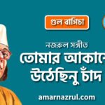 তোমার আকাশে উঠেছিনু চাঁদ | Tomar akashe uthechinu chaad | গুল বাগিচা | নজরুল সঙ্গীত | কাজী নজরুল ইসলাম 7 তোমার আকাশে উঠেছিনু চাঁদ | Tomar akashe uthechinu chaad | গুল বাগিচা | নজরুল সঙ্গীত | কাজী নজরুল ইসলাম