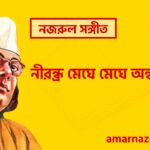 নীরন্ধ্র মেঘে মেঘে অন্ধ গগন , চন্দ্রবিন্দু | নজরুল সঙ্গীত 4 নীরন্ধ্র মেঘে মেঘে অন্ধ গগন | Nirondro meghe meghe ondho gogon | চন্দ্রবিন্দু | নজরুল সঙ্গীত | কাজী নজরুল ইসলাম