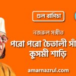 পরো পরো চৈতালী সাঁঝে কুসমী শাড়ি | Poro poro choitali shaje kushmi shari | গুল বাগিচা | নজরুল সঙ্গীত | কাজী নজরুল ইসলাম 5 পরো পরো চৈতালী সাঁঝে কুসমী শাড়ি | Poro poro choitali shaje kushmi shari | গুল বাগিচা | নজরুল সঙ্গীত | কাজী নজরুল ইসলাম