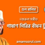 পাষাণ গিরির বাঁধন টুটে | Pashan girir badhon tute | গুল বাগিচা | নজরুল সঙ্গীত | কাজী নজরুল ইসলাম