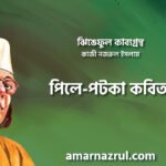 পিলে-পটকা কবিতা । ঝিঙেফুল কাব্যগ্রন্থ । কাজী নজরুল ইসলাম