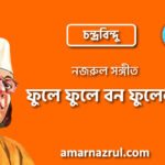 ফুলে ফুলে বন ফুলেলা | Fule fule bon fulela | চন্দ্রবিন্দু | নজরুল সঙ্গীত | কাজী নজরুল ইসলাম