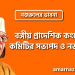 বঙ্গীয় প্রাদেশিক কংগ্রেস কমিটির সভ্যপদ ও নজরুল । নজরুলের ভাবনা