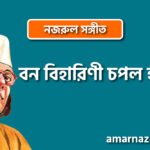 বন বিহারিণী চপল হরিণী | Bono biharini chopol horini | চন্দ্রবিন্দু | নজরুল সঙ্গীত | কাজী নজরুল ইসলাম