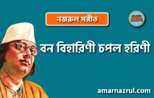 বন বিহারিণী চপল হরিণী | Bono biharini chopol horini | চন্দ্রবিন্দু | নজরুল সঙ্গীত | কাজী নজরুল ইসলাম