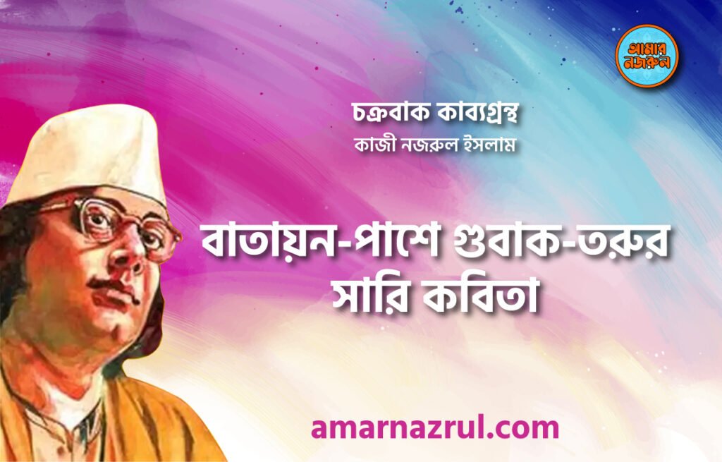 বাতায়ন-পাশে গুবাক-তরুর সারি কবিতা । চক্রবাক কাব্যগ্রন্থ । কাজী নজরুল ইসলাম