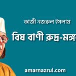 বিষ বাণী রুদ্র-মঙ্গল, প্রবন্ধ | কাজী নজরুল ইসলাম