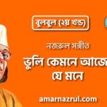 ভুলি কেমনে আজো যে মনে | Vuli kemne ajo je mon | বুলবুল | নজরুল সঙ্গীত | কাজী নজরুল ইসলাম 6 ভুলি কেমনে আজো যে মনে | Vuli kemne ajo je mon | বুলবুল | নজরুল সঙ্গীত | কাজী নজরুল ইসলাম