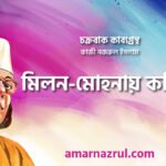 মিলন-মোহনায় কবিতা । চক্রবাক কাব্যগ্রন্থ । কাজী নজরুল ইসলাম