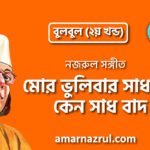 মোর ভুলিবার সাধনায় কেন সাধ বাদ | Mor vhulibar shadhonay keno shado baad | বুলবুল (২য় খন্ড) | নজরুল সঙ্গীত | কাজী নজরুল ইসলাম