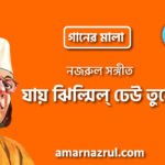 যায় ঝিল্মিল্ ঢেউ তুলে | Jay jhilmil dheu tule | গানের মালা | নজরুল সঙ্গীত | কাজী নজরুল ইসলাম 7 যায় ঝিল্মিল্ ঢেউ তুলে | Jay jhilmil dheu tule | গানের মালা | নজরুল সঙ্গীত | কাজী নজরুল ইসলাম