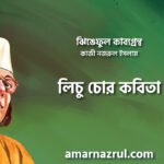 লিচু চোর কবিতা । ঝিঙেফুল কাব্যগ্রন্থ । কাজী নজরুল ইসলাম