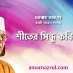 শীতের সিন্ধু কবিতা । চক্রবাক কাব্যগ্রন্থ । কাজী নজরুল ইসলাম