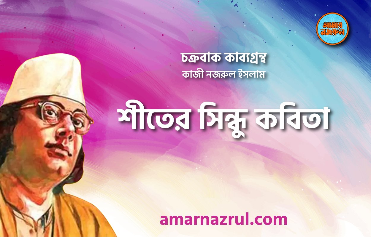 শীতের সিন্ধু কবিতা । চক্রবাক কাব্যগ্রন্থ । কাজী নজরুল ইসলাম