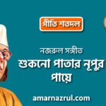 শুকনো পাতার নূপুর পায়ে | Shukno patar nupur paye | গীতি শতদল | নজরুল সঙ্গীত | কাজী নজরুল ইসলাম 7 শুকনো পাতার নূপুর পায়ে | Shukno patar nupur paye | গীতি শতদল | নজরুল সঙ্গীত | কাজী নজরুল ইসলাম