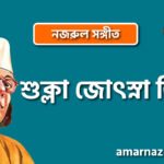 শুক্লা জো‍ৎস্না তিথি | Shukla joshna tithi | চন্দ্রবিন্দু | নজরুল সঙ্গীত | কাজী নজরুল ইসলাম