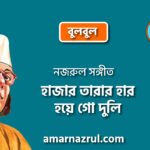 হাজার তারার হার হয়ে গো দুলি | Hazar tarar har hoye go duli | বুলবুল | নজরুল সঙ্গীত | কাজী নজরুল ইসলাম
