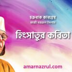 হিংসাতুর কবিতা । চক্রবাক কাব্যগ্রন্থ । কাজী নজরুল ইসলাম 3 হিংসাতুর কবিতা । চক্রবাক কাব্যগ্রন্থ । কাজী নজরুল ইসলাম