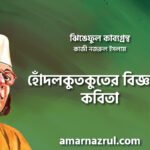 হোঁদলকুতকুতের বিজ্ঞাপন কবিতা । ঝিঙেফুল কাব্যগ্রন্থ । কাজী নজরুল ইসলাম 4 হোঁদলকুতকুতের বিজ্ঞাপন কবিতা । ঝিঙেফুল কাব্যগ্রন্থ । কাজী নজরুল ইসলাম